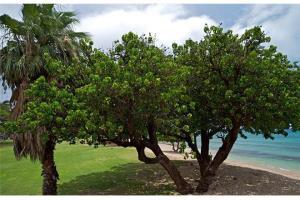 Hotel Beautiful Ground Floor! Corner! Just Steps To Ocean And Pool!120 Napili-Honokowai Exterior foto